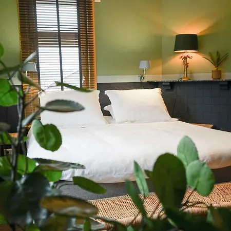 Hotel La Vida